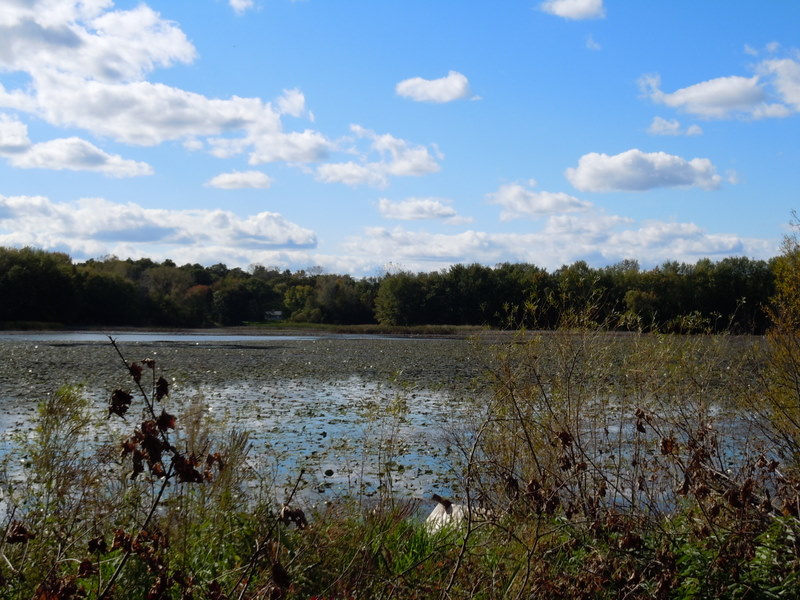 Ponds in Oakland County MI
