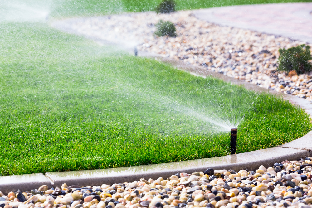 Backyard Sprinkler