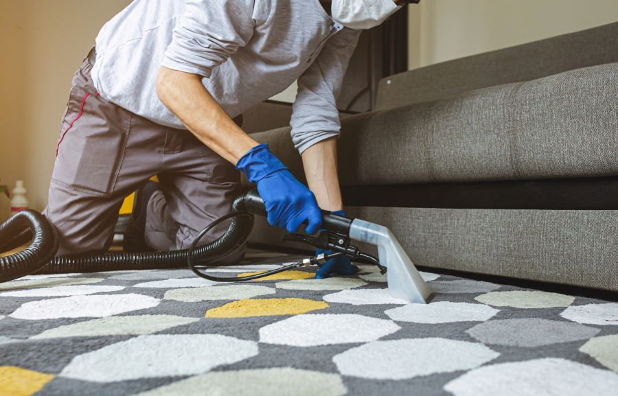 Carpet cleaning2