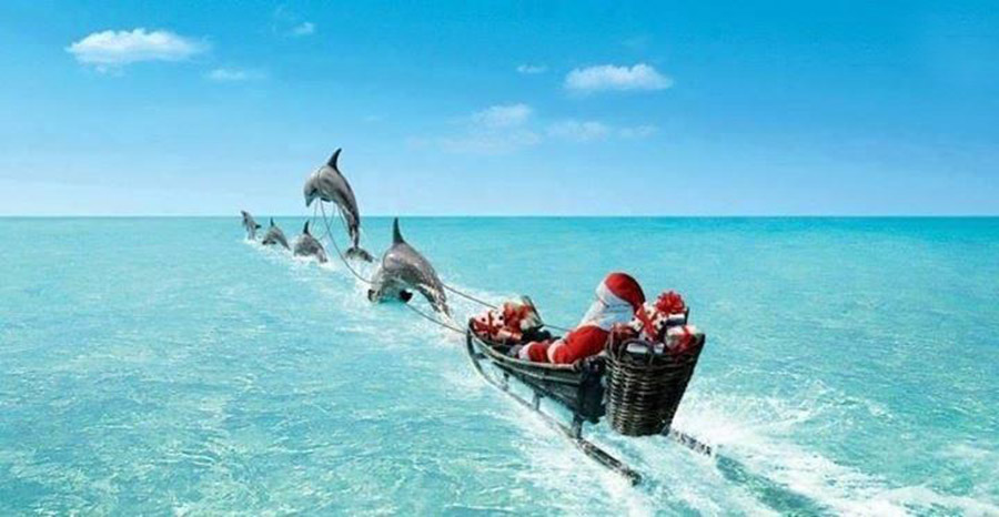 Christmas-miami.jpg