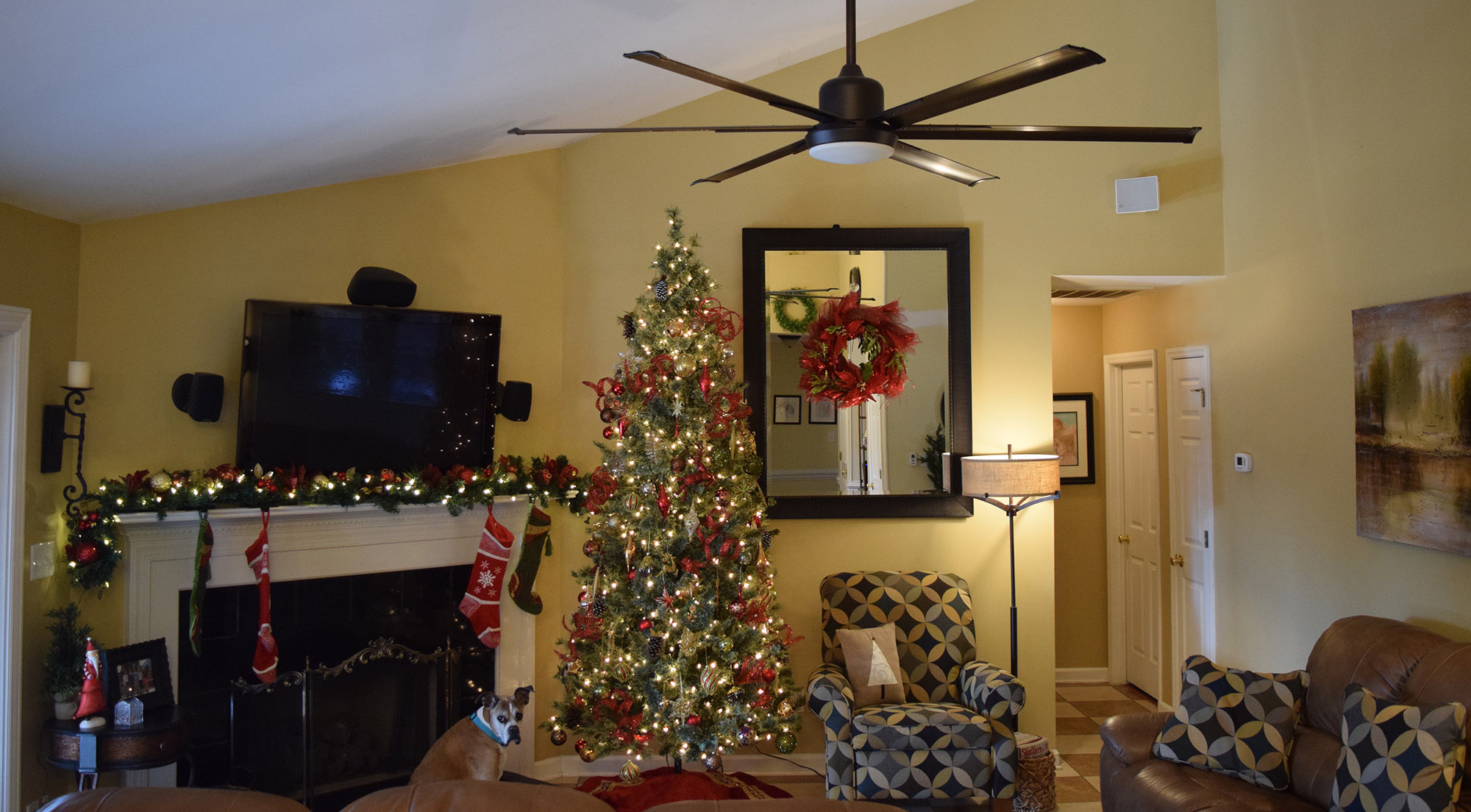 ChristmasTree.jpg