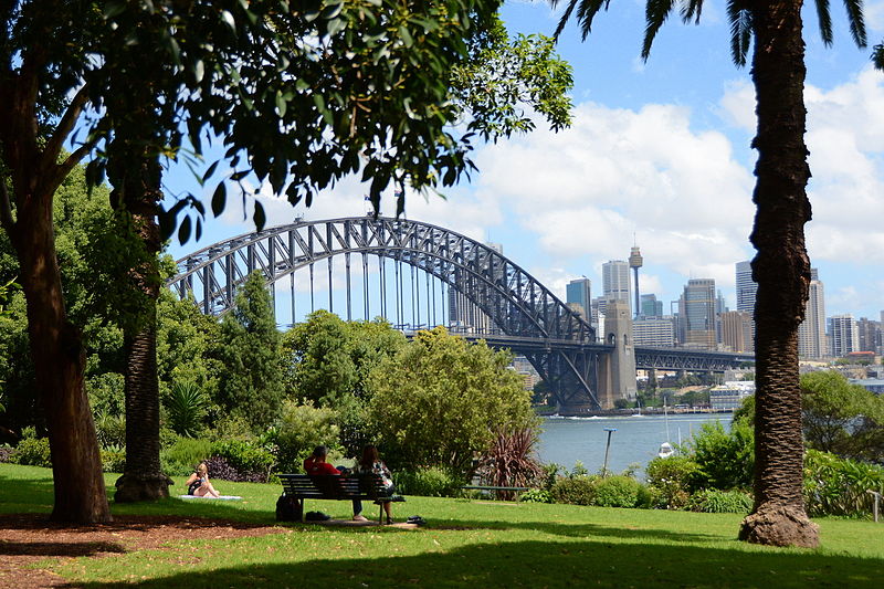 Clark Park Lavender Bay