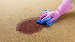 How to Sanitize Blood Spills