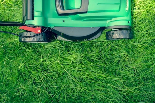 Lawnmower on grass 600 Unsplash