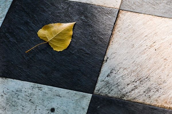 Leaf and tiles 600 Pixabay
