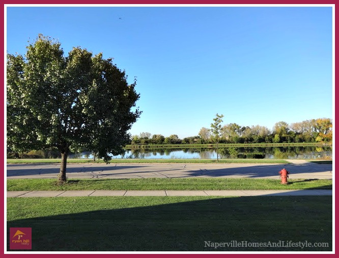 Naperville IL homes for sale- Live in one of the best neighborhoods in Illinois. 