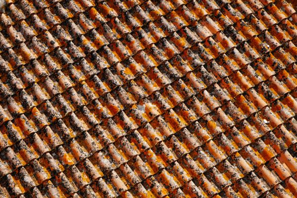 Orange and black roof shingles 600 Unsplash