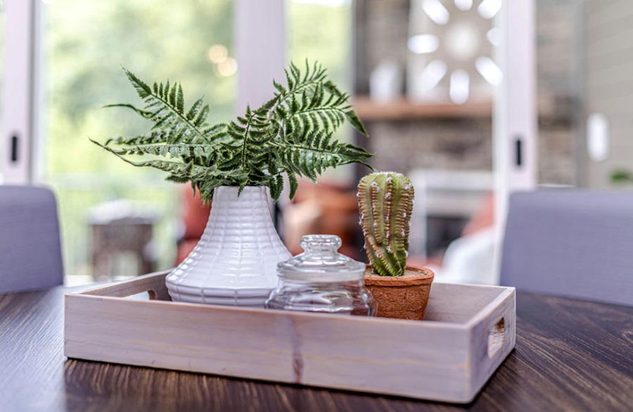 Plant centerpiece