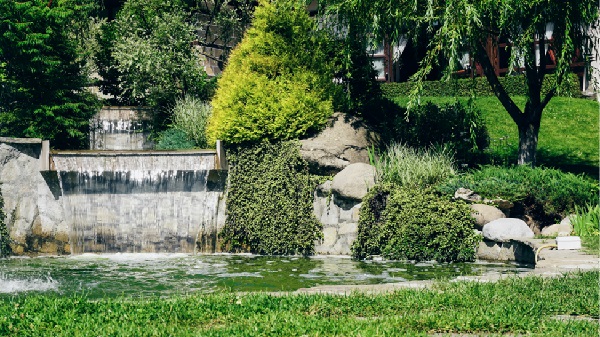 Pond with waterfall 600 Canva Premium