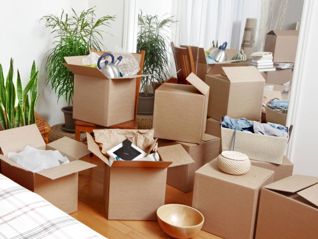 Removalists