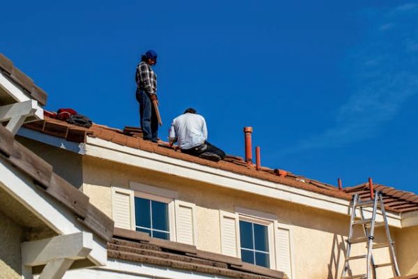 Roofers 600 Pexels