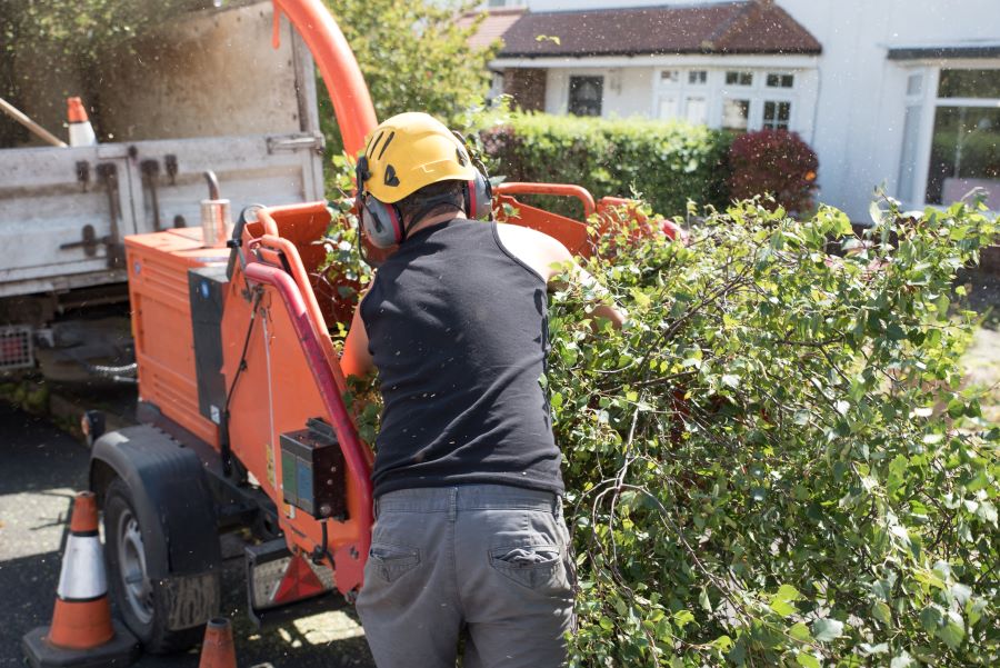 Tree trimmer No BS