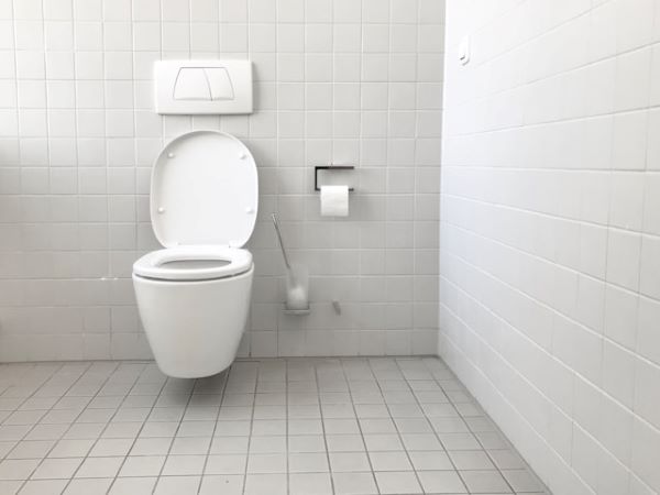 White toilet bowl 600 Unsplash