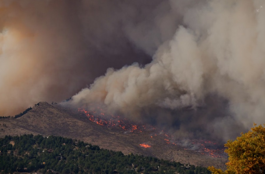 Wildfire1