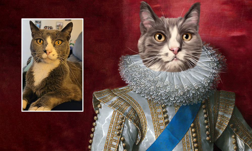 cat portrait