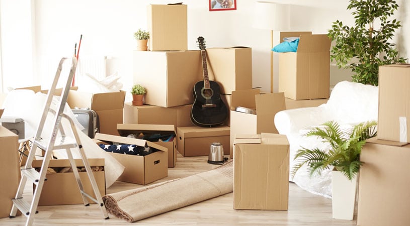 cheap removalists