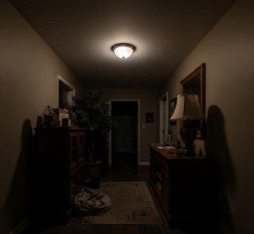 dark