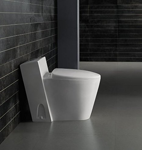 dual flush toilet