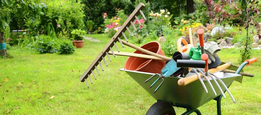 garden services