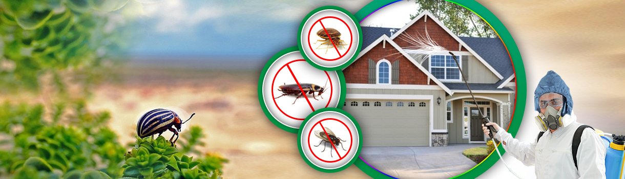 pestcompany