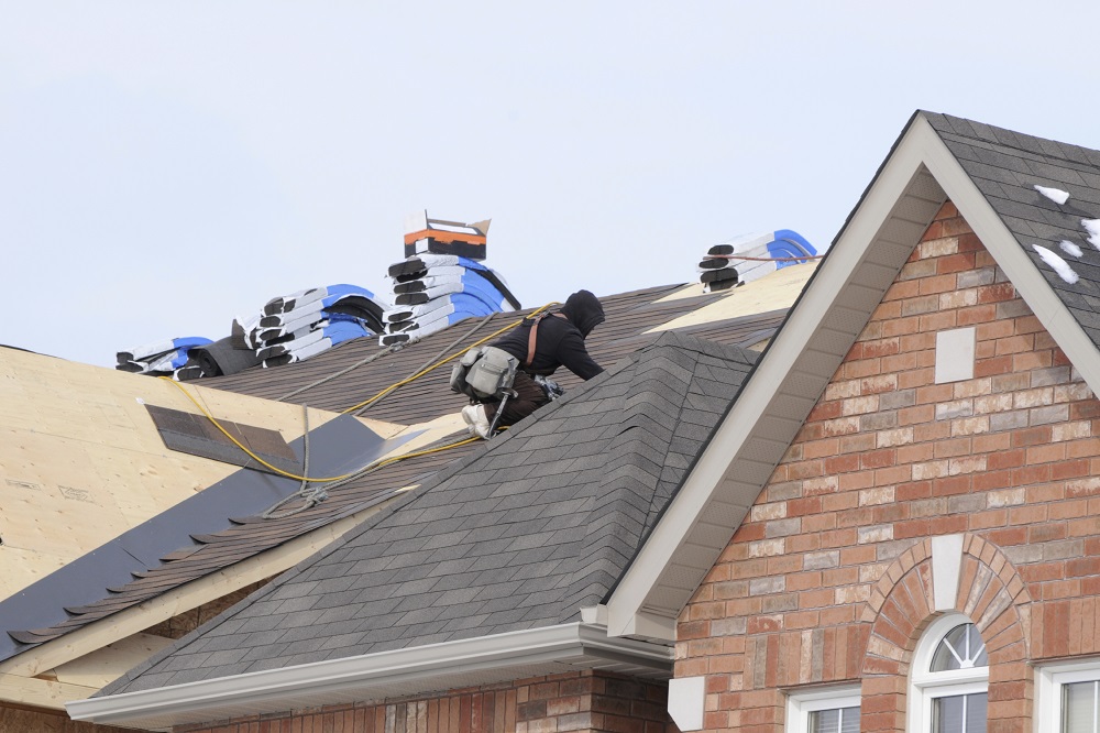 roof.jpg
