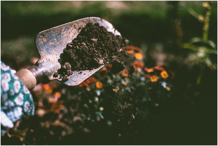 soil