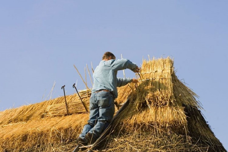 thatched-roof-2.jpg