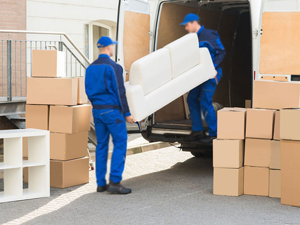 total removalist
