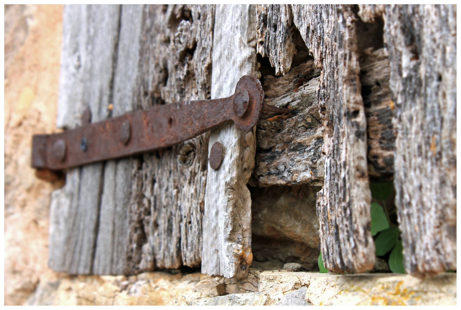 wood-403386_1920.jpg