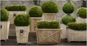 Tips On How To Use Planters