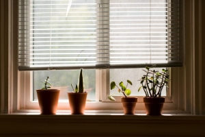Find Your Perfect Window Coverings: Local Showrooms vs. Big-Box Stores