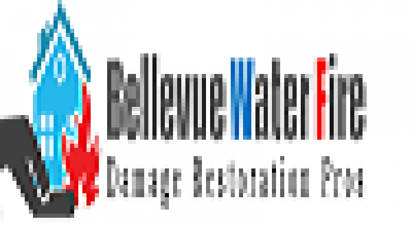 Bellevue water fire damage pros