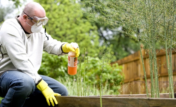 Why Is Renovating the Garden Important Prior to Listing Your Home