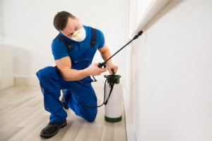 Best Pest Control System For Your House