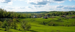 How to Find Homes Listed for Sale in Newtown, PA