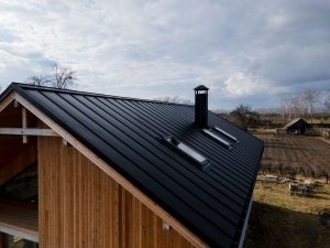 Innovative Architectural Roofing Styles for Modern Buildings