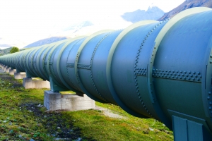 Should You Buy Water Line Insurance?