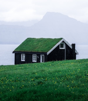 Eco-Friendly Homes: Reshaping the Real Estate Landscape