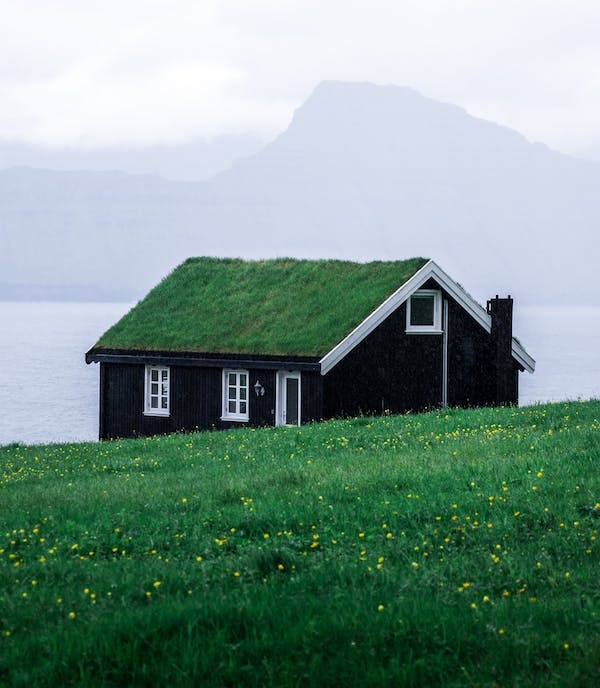 Eco-Friendly Homes: Reshaping the Real Estate Landscape