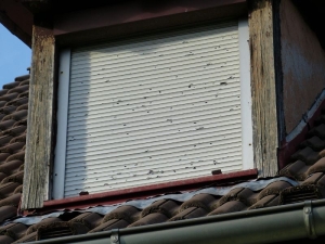 6 Reasons to Choose Roller Shutters for Better Home Protection
