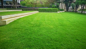 6 Lawn Care Considerations Before Selling Your House