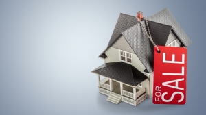 Cash Home Buyers Vs Real Estate Investors: Who Should You Sell To?