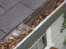 5 Reasons to Spring into Action with Gutter Guards After the Winter