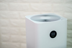 Designing Luxury Homes with Clean Air Systems: The Role of Smoke Eaters