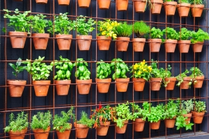 Condo Gardens - Tips For Setting Up An Indoor Garden In A Condo