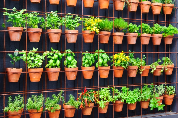 Condo Gardens - Tips For Setting Up An Indoor Garden In A Condo