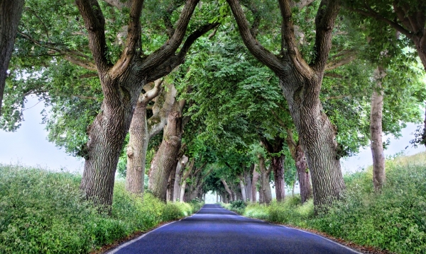 Increasing Your Property Value with Asphalt Paving