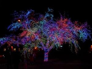 Why you Should Visit Laser Christmas Light HQ