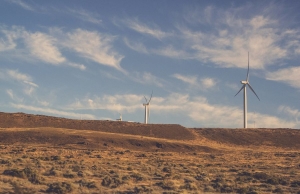 Driving Innovation and Sustainability in the State's Energy Sector