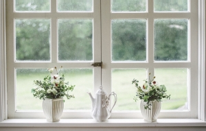 Do Energy-Efficient Windows Really Save You Money?